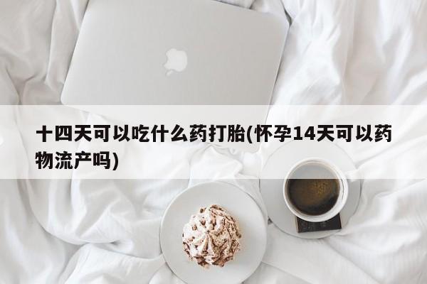 打胎药私人店购买微信十四天可以吃什么药打胎(怀孕14天可以药物流产吗)
